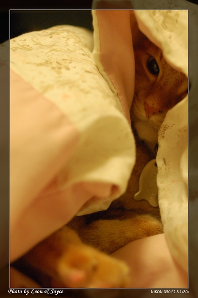 DSC_0685.JPG DSC_0685.JPG