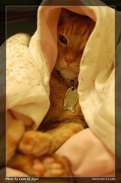DSC_0711.JPG DSC_0711.JPG