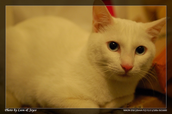 DSC_0372.JPG DSC_0372.JPG