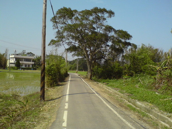 隱藏單車道.JPG