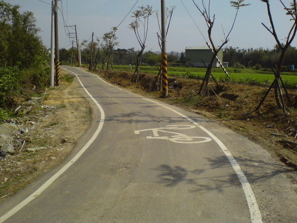 隱藏單車道.JPG