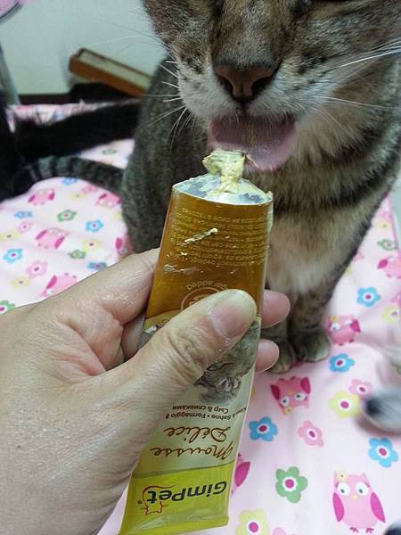 駿寶起司膏 駿寶起司膏