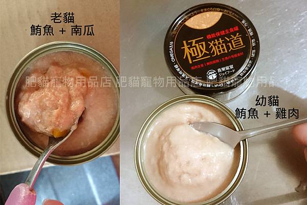 極貓道-2.jpg