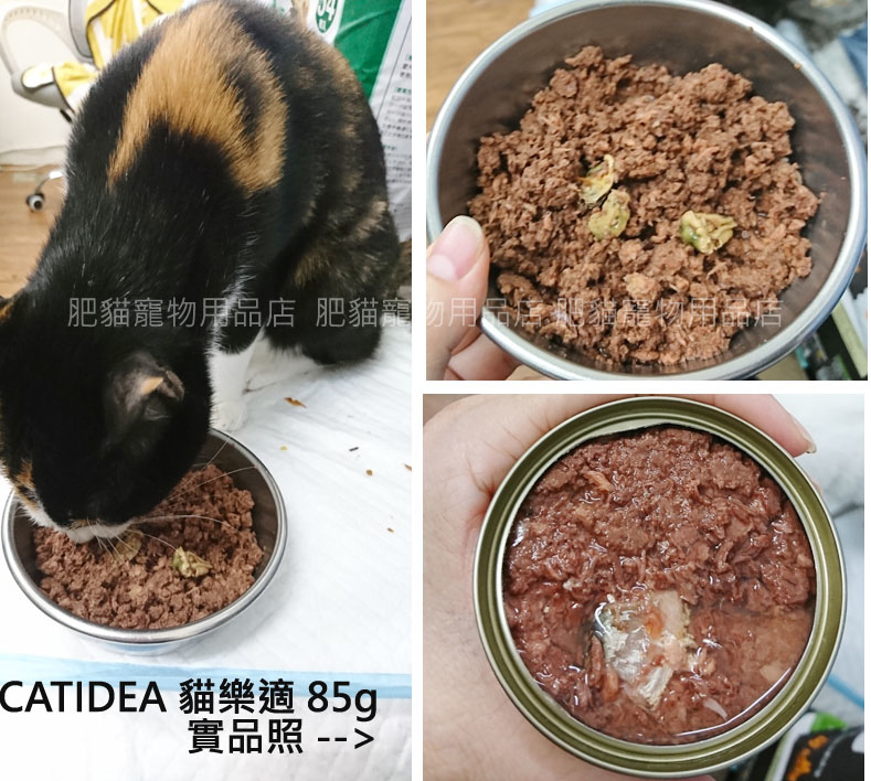 貓樂適-實品照.jpg