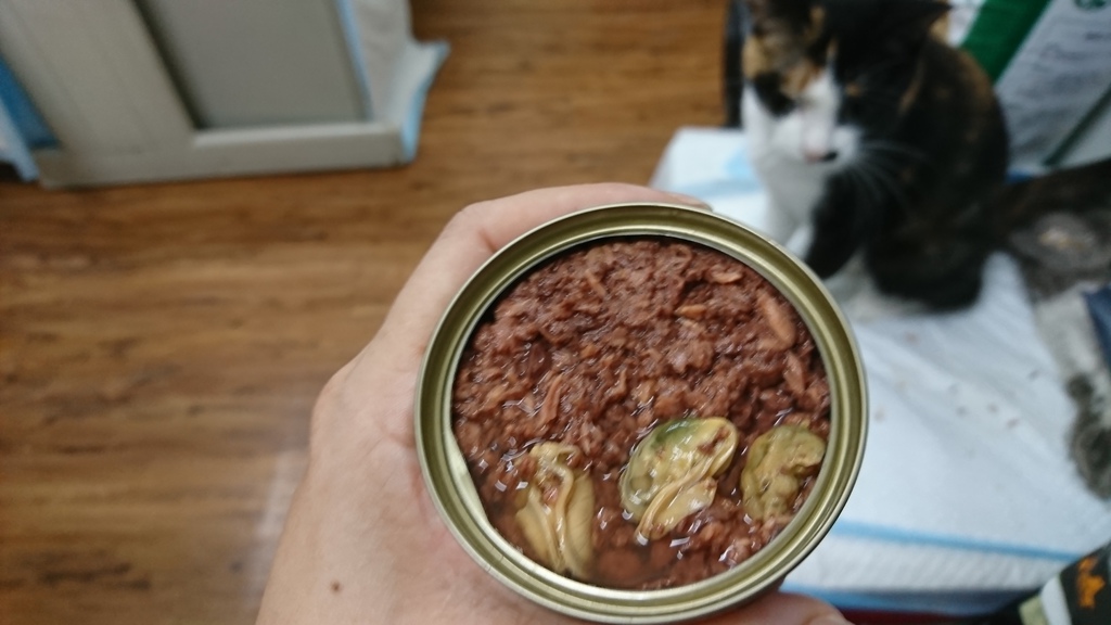 DSC_4527.JPG DSC_4527.JPG