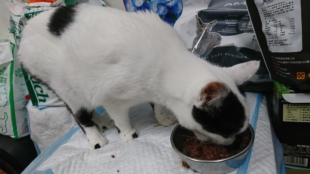 DSC_4540.JPG DSC_4540.JPG