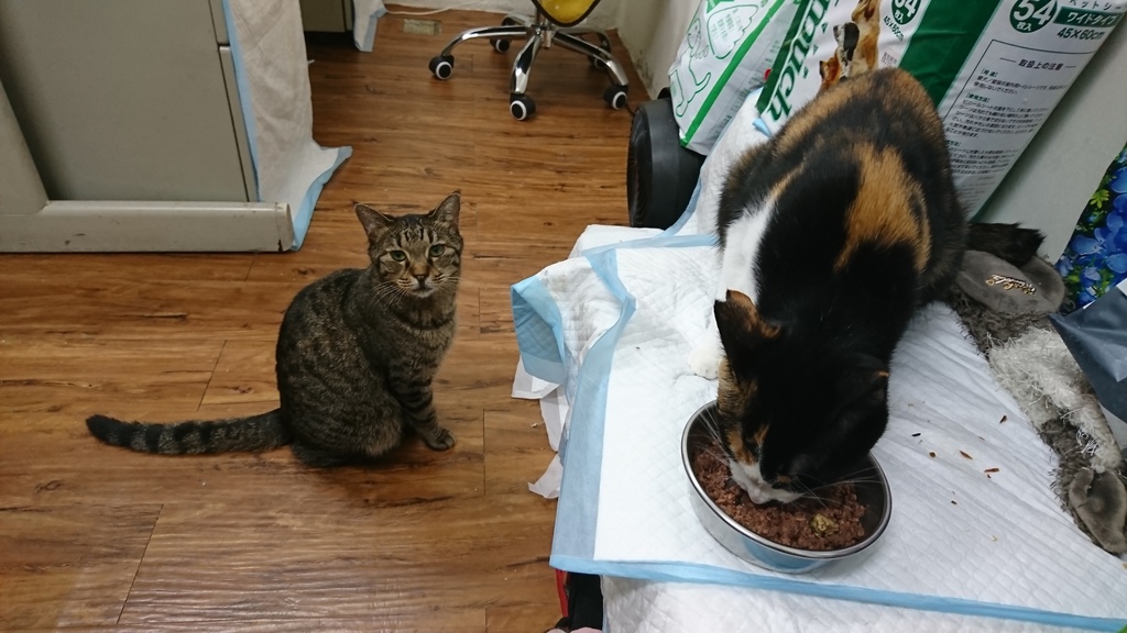 DSC_4533.JPG DSC_4533.JPG