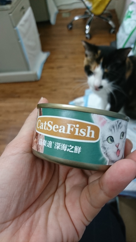 DSC_4526.JPG DSC_4526.JPG