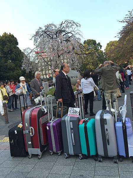 2015的三月，和【誰說新竹很無聊】合作，揪人～小資東京賞櫻花