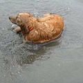 IMG_0262