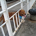 IMG_0567