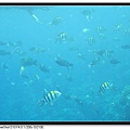 IMG_4766