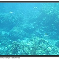 IMG_4784