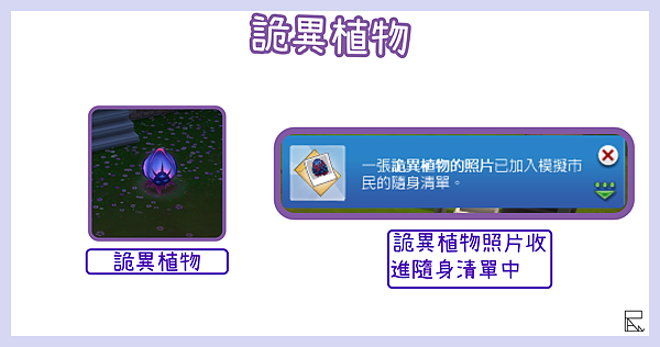 詭異植物.png