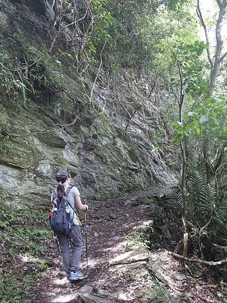 【山】瓦拉米步道