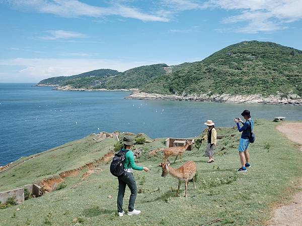 【離島】馬祖之旅2 - 大坵島 (梅花鹿的家)