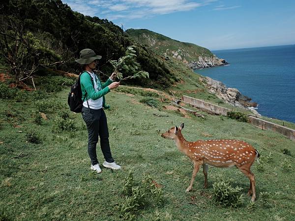 【離島】馬祖之旅2 - 大坵島 (梅花鹿的家)