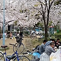 20160403_142927.jpg