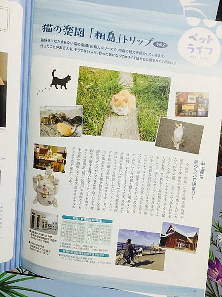 IMG_9906.JPG 試用