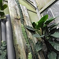 DSCN0030.JPG