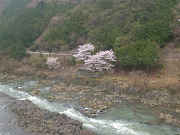 保津川溪岸