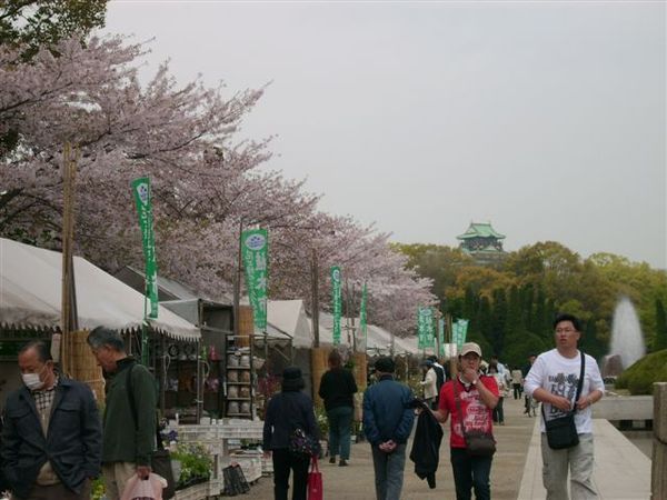 大阪城還很遠