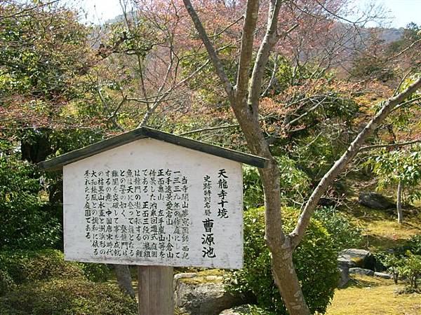 天龍寺的庭園