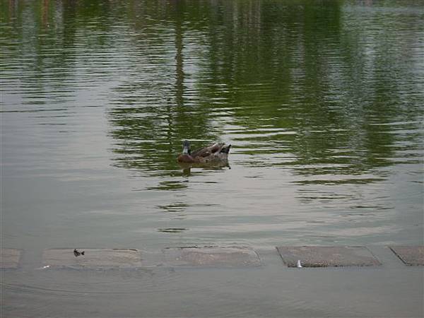 羅東運動公園