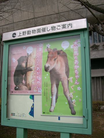 隔壁的上野動物園