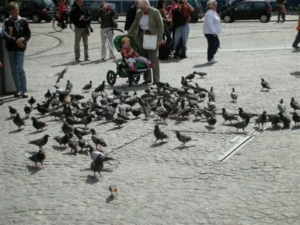 DSCN2280.JPG