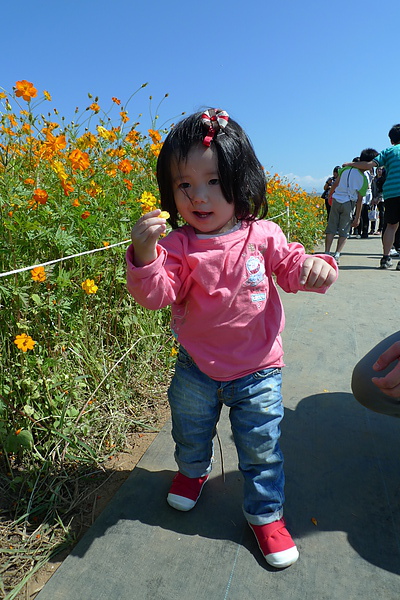 P1130522.JPG