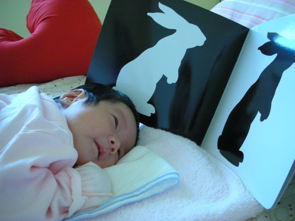 馬咪說~要看書才會聰明喔!!