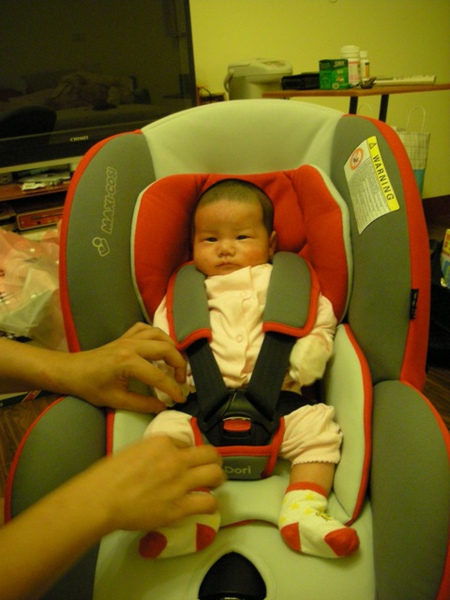 把拔硬是要我練習坐汽座