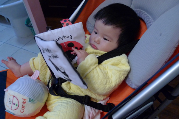 看書