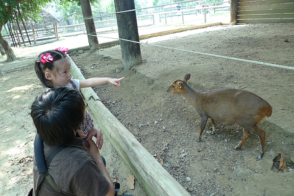 P1120182.JPG