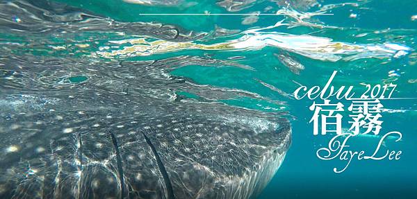 2017-12-07_164948 copy.jpg 2017-12-07_164948 copy.jpg