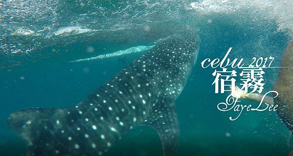 2017-12-21_133745.jpg 2017-12-21_133745.jpg