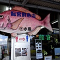 鮮魚店，好分開的さしみ