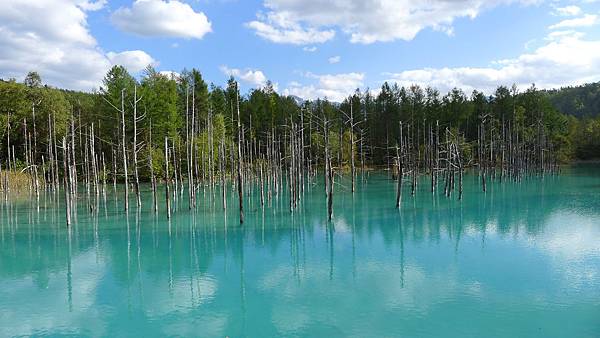 P1310749.JPG P1310749.JPG