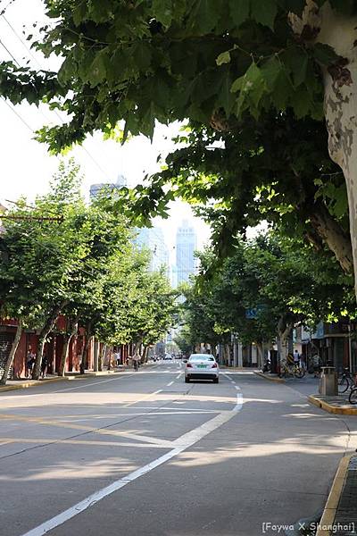 Camp31.JPG Camp31.JPG