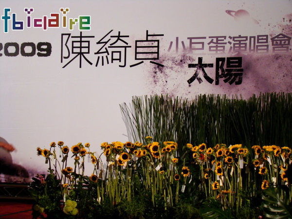 sun00035.JPG