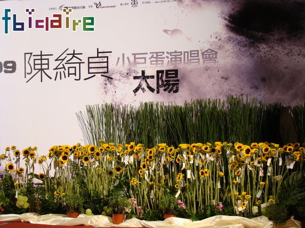 sun00037.JPG