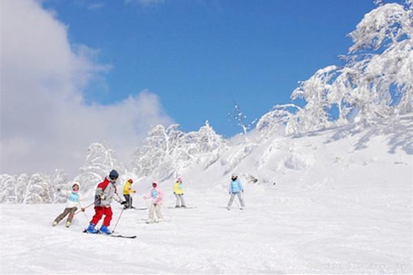 北海道滑雪