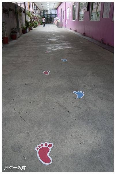 P1680185