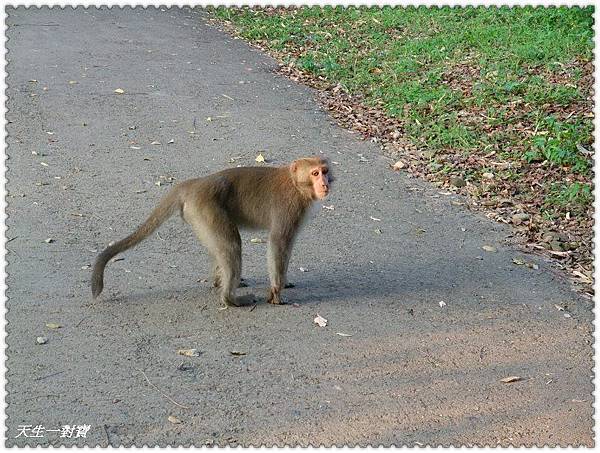 374661_323934204291826_1944369304_n 374661_323934204291826_1944369304_n