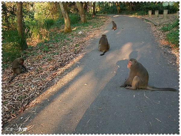 379123_323933444291902_1738413637_n 379123_323933444291902_1738413637_n