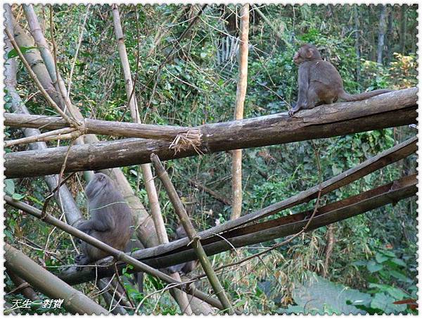 398565_323933114291935_2033804158_n 398565_323933114291935_2033804158_n