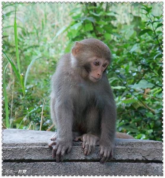 401796_323935884291658_84399851_n 401796_323935884291658_84399851_n