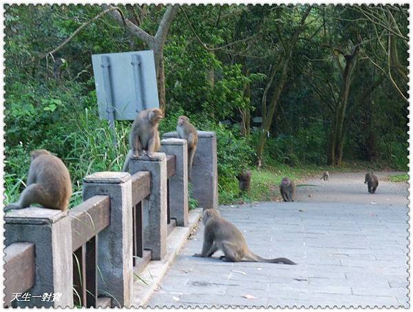 402284_323934760958437_1979151103_n 402284_323934760958437_1979151103_n