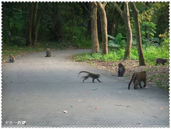 405852_323934447625135_1489841567_n 405852_323934447625135_1489841567_n